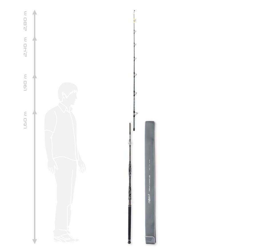 Vagner Prut Origin V-Static 2,8m 200-800g