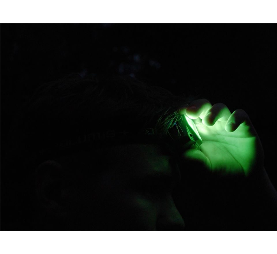 Delphin Čelovka Lumis