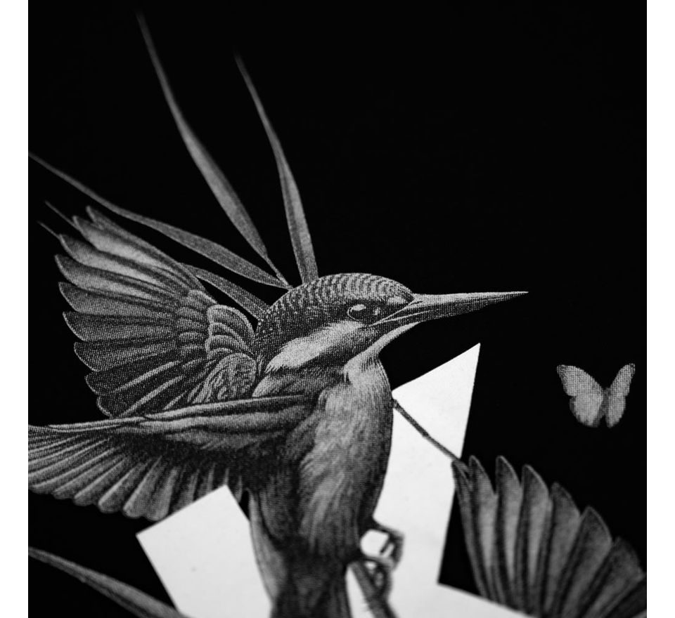 KUMU Tričko High Dive