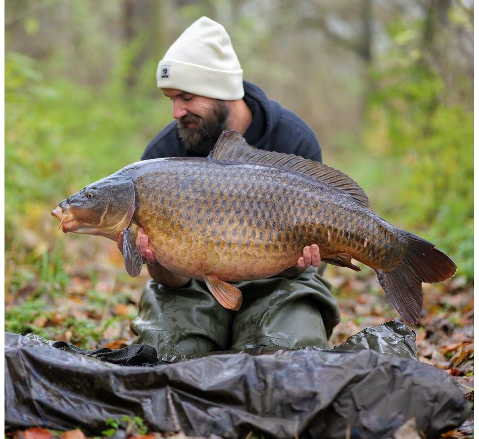 G.B.U. Boilies D5 zimná edícia