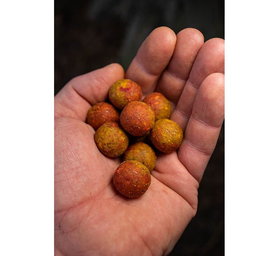 Chytil Master Carp Boilies 16mm 250g