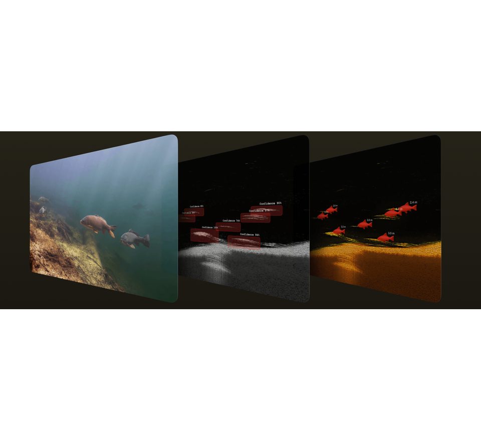 Deeper Nahadzovací sonar Fishfinder CHIRP+ 4