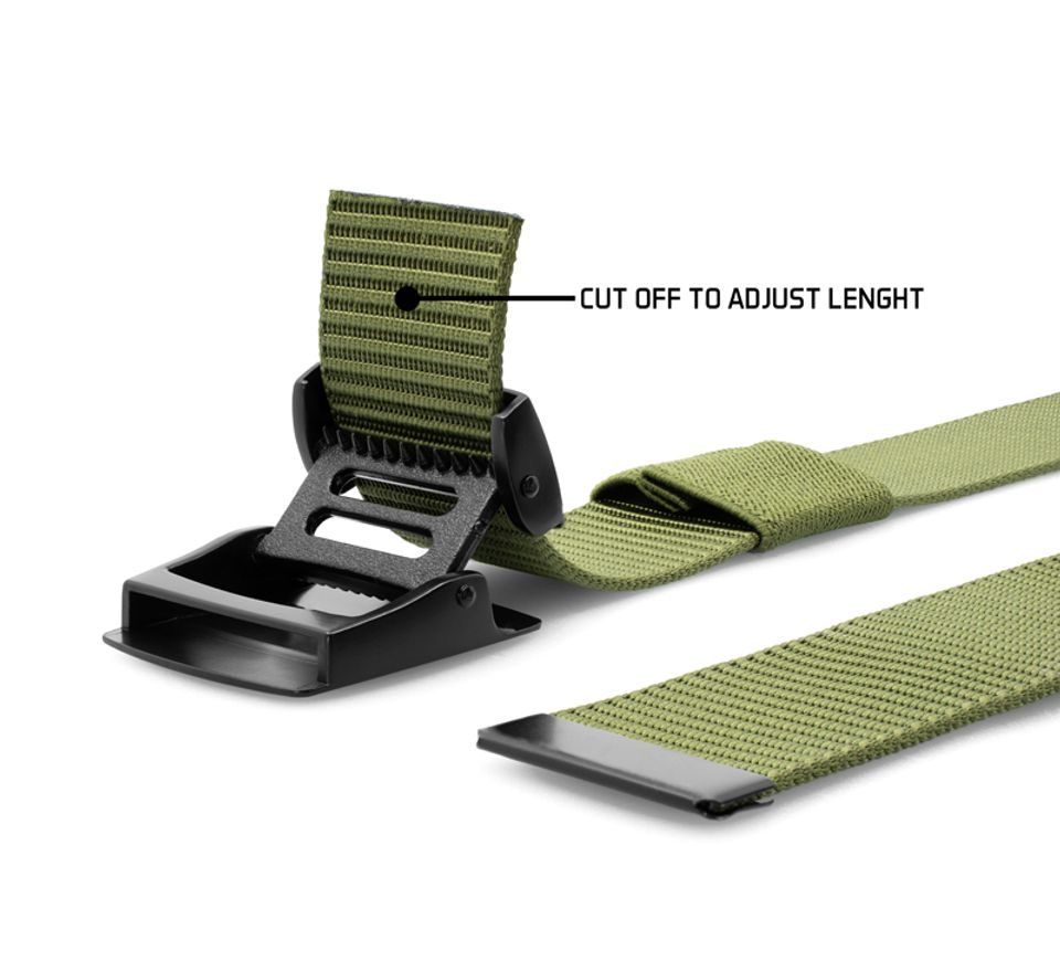 Delphin Opasek OutLine