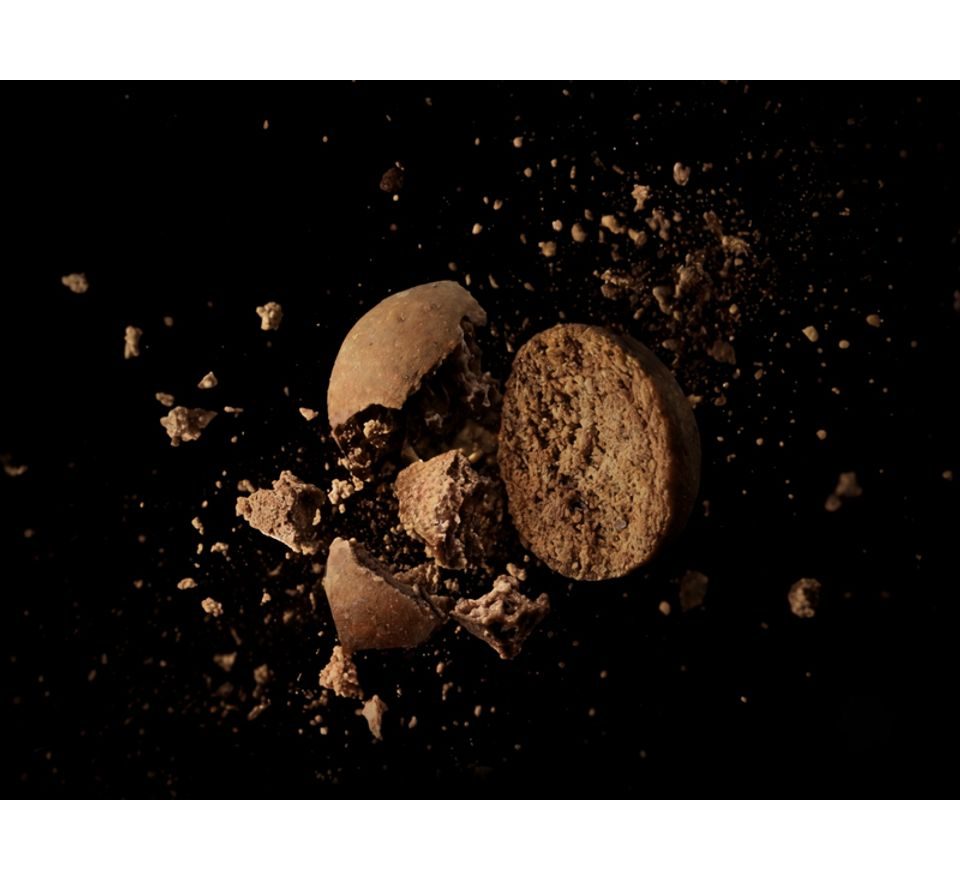 Delphin Boilies BreaX / MonstaFISH 300g