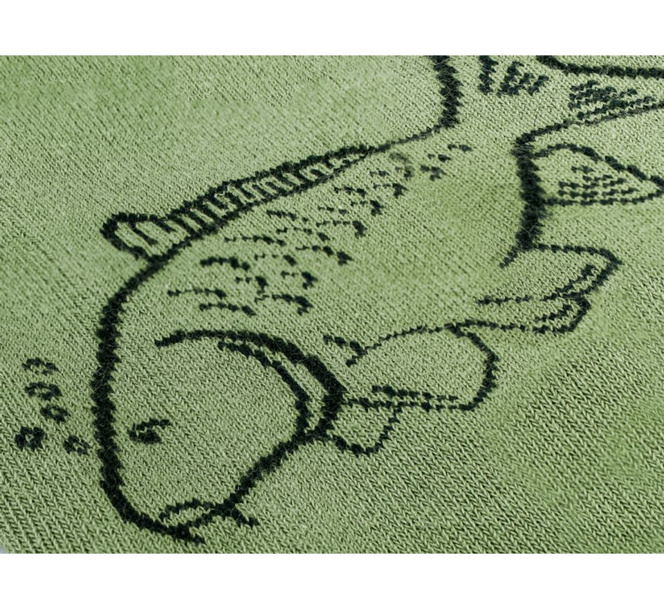 Delphin Ponožky Carp