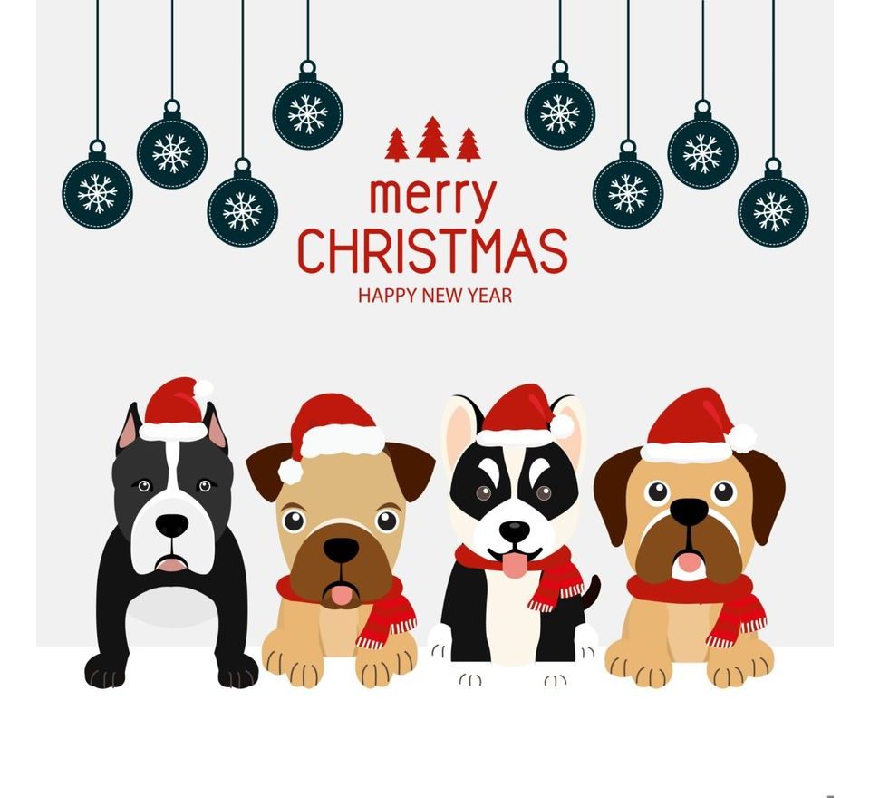 LK Baits Pet Vánoční bonboniéra Nutrigo Bonbons Merry Christmas pro menší psy