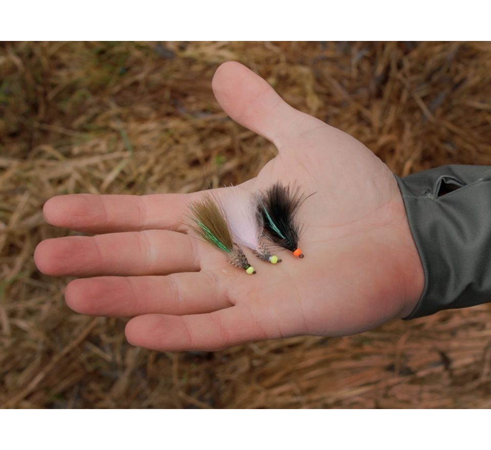 Delphin Sada umělých mušek Fly Wild trout 10ks