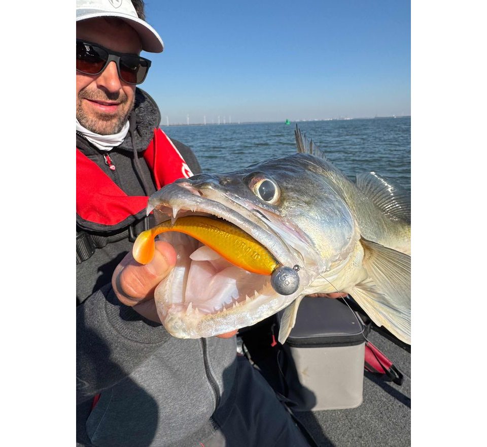 Fox Rage Gumová nástraha Zander Pro Shads UV Golden Shiner