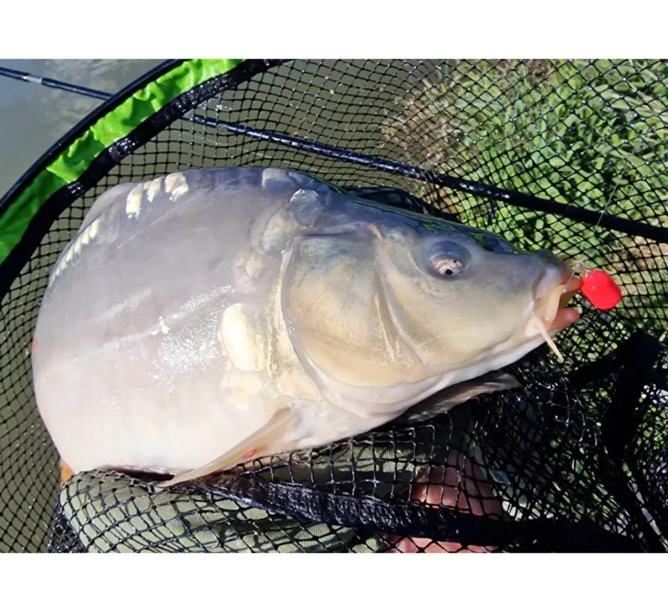 Chytil Krmítková směs Carp Mix 800g