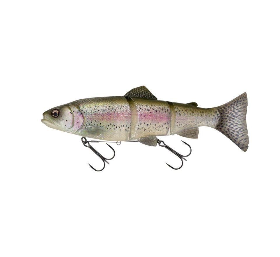 Savage Gear Gumová nástraha 3D Line Thru Trout Clear Rainbow Trout
