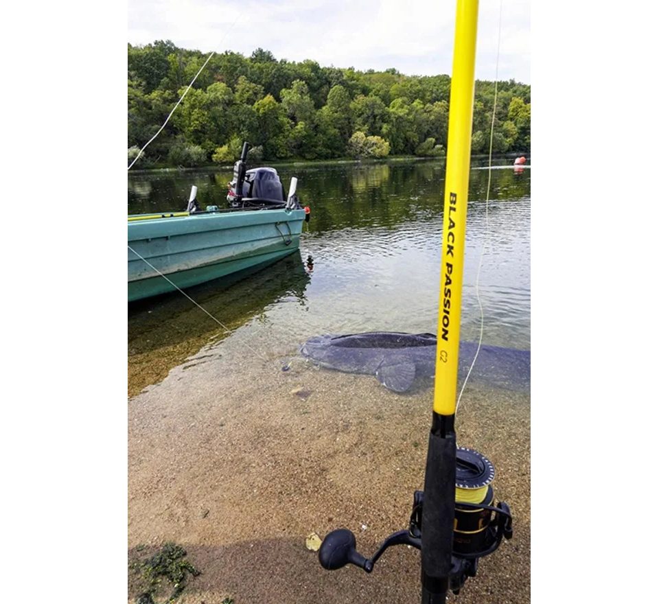 Black Cat Prut Black Passion G2 Allround 2,7m 600g