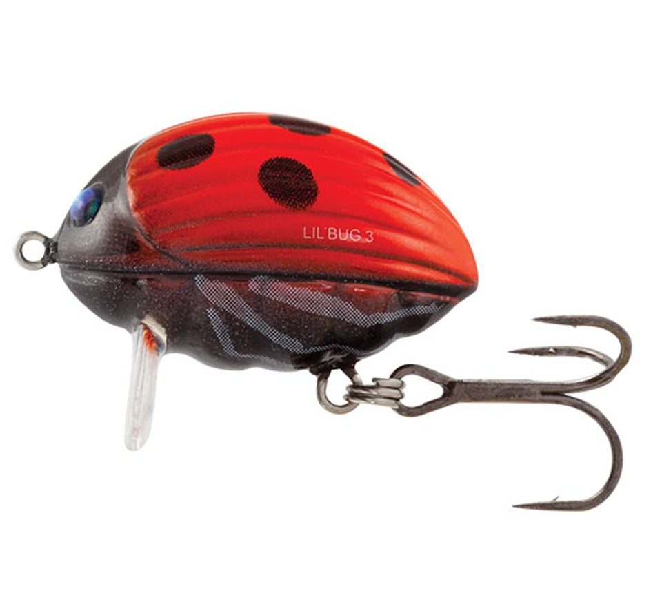 Salmo Wobler Lil' Bug Floating 3cm