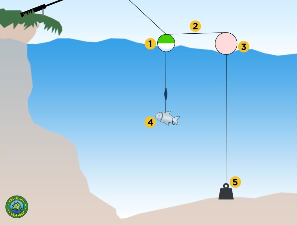 lov sumce na trhací bójku