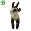 Plyšový kamzík 20 cm