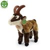 Plyšový kamzík 20 cm