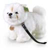 PLYŠ Pes Čau-čau 30cm na vodítku Eco-Friendly *PLYŠOVÉ HRAČKY*