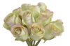 Růže svazek 12 ks - krémově zelená