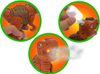Dinosaurus s efekty 17cm vypouští páru na baterie Světlo Zvuk 2 barvy plast