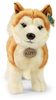 PLYŠ Pes Akita Inu 30cm Eco-Friendly *PLYŠOVÉ HRAČKY*