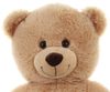 PLYŠ Medvěd 80cm světle hnědý