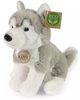 PLYŠ Pes husky 23cm *PLYŠOVÉ HRAČKY*