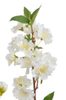 Větvička sakura 48 cm - bílá