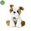 Plyšový pes bulldog 30 cm