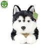 Plyšový pes husky 36 cm ECO-FRIENDLY