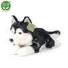 Plyšový pes husky 36 cm ECO-FRIENDLY