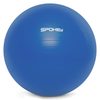FITBALL III Gymnastický míč 75 cm včetně pumpičky, modrý