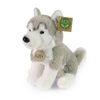 Plyšový pes husky sedící 23 cm SOFT COLLECTION