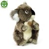 Plyšová koala 22 cm