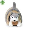 Plyšový husky 38 cm ECO-FRIENDLY