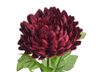 Chryzantéma 58 cm - vínová
