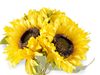 Umělá slunečnice svazek