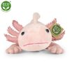 Plyšový axolotl 33 cm