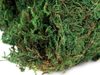 Dekorační přírodní mech 450 g