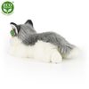 Plyšový pes husky ležící 30 cm