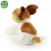Plyšový pes jack russell teriér sedící 30 cm