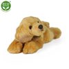 Plyšový retriever 30 cm
