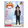 KARNEVAL Šaty kouzelník vel. M 120-130cm, 5-9let *KOSTÝM*