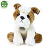 Plyšový pes bulldog 30 cm