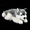 Plyšový pes husky ležící 30 cm