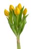 Svazek tulipánů (5 ks) - žlutá