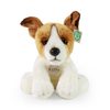 Plyšový pes jack russell teriér sedící 30 cm