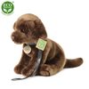 Plyšový pes labrador 25 cm ECO-FRIENDLY