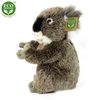 Plyšová koala 22 cm