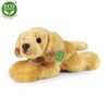 Plyšový retriever 30 cm
