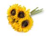 Umělá slunečnice svazek