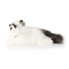 Plyšová kočka ragdoll ležící 35 cm